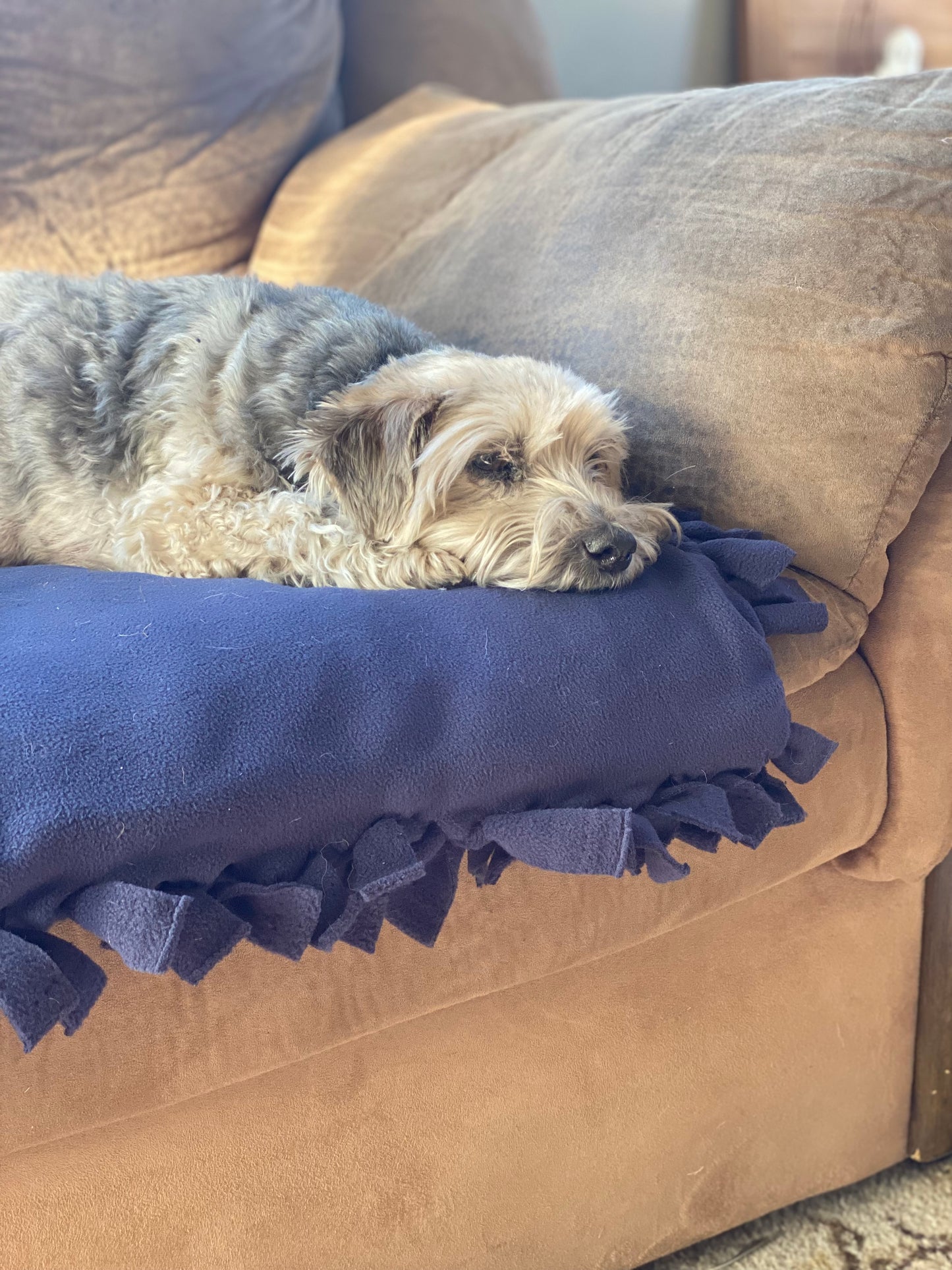 Pet blankets/beds