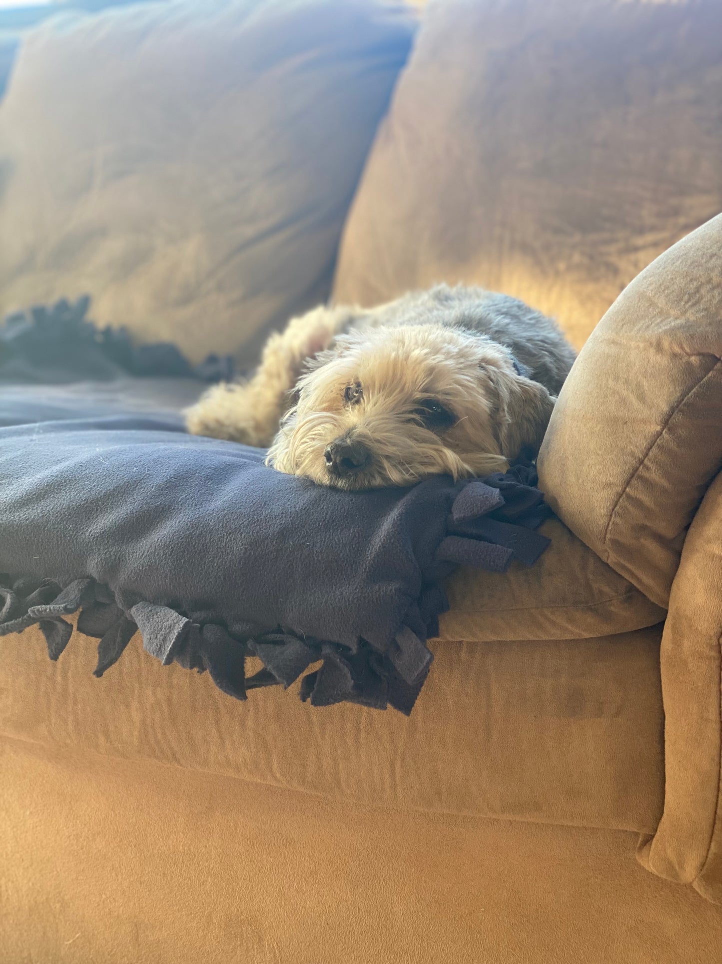Pet blankets/beds
